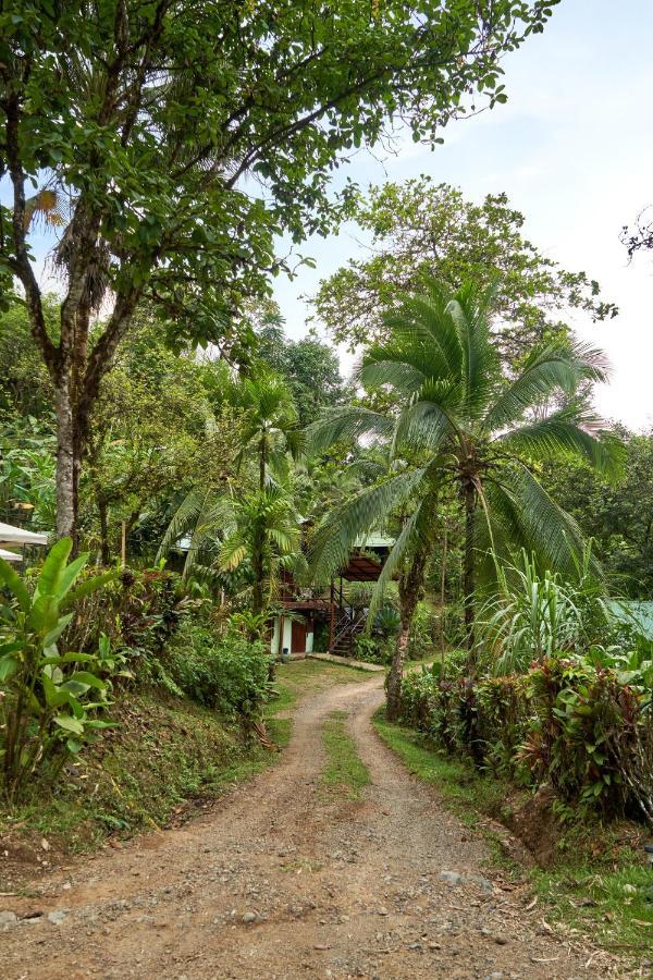 Sukia Hostel Drakes Bay المظهر الخارجي الصورة
