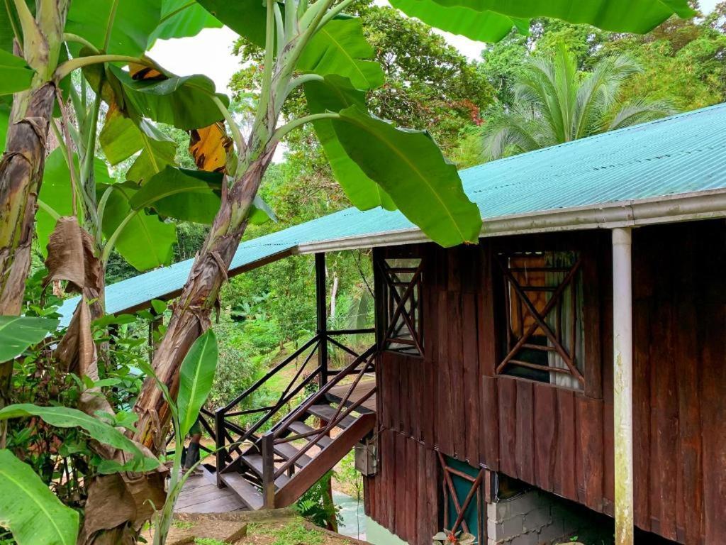 Sukia Hostel Drakes Bay المظهر الخارجي الصورة
