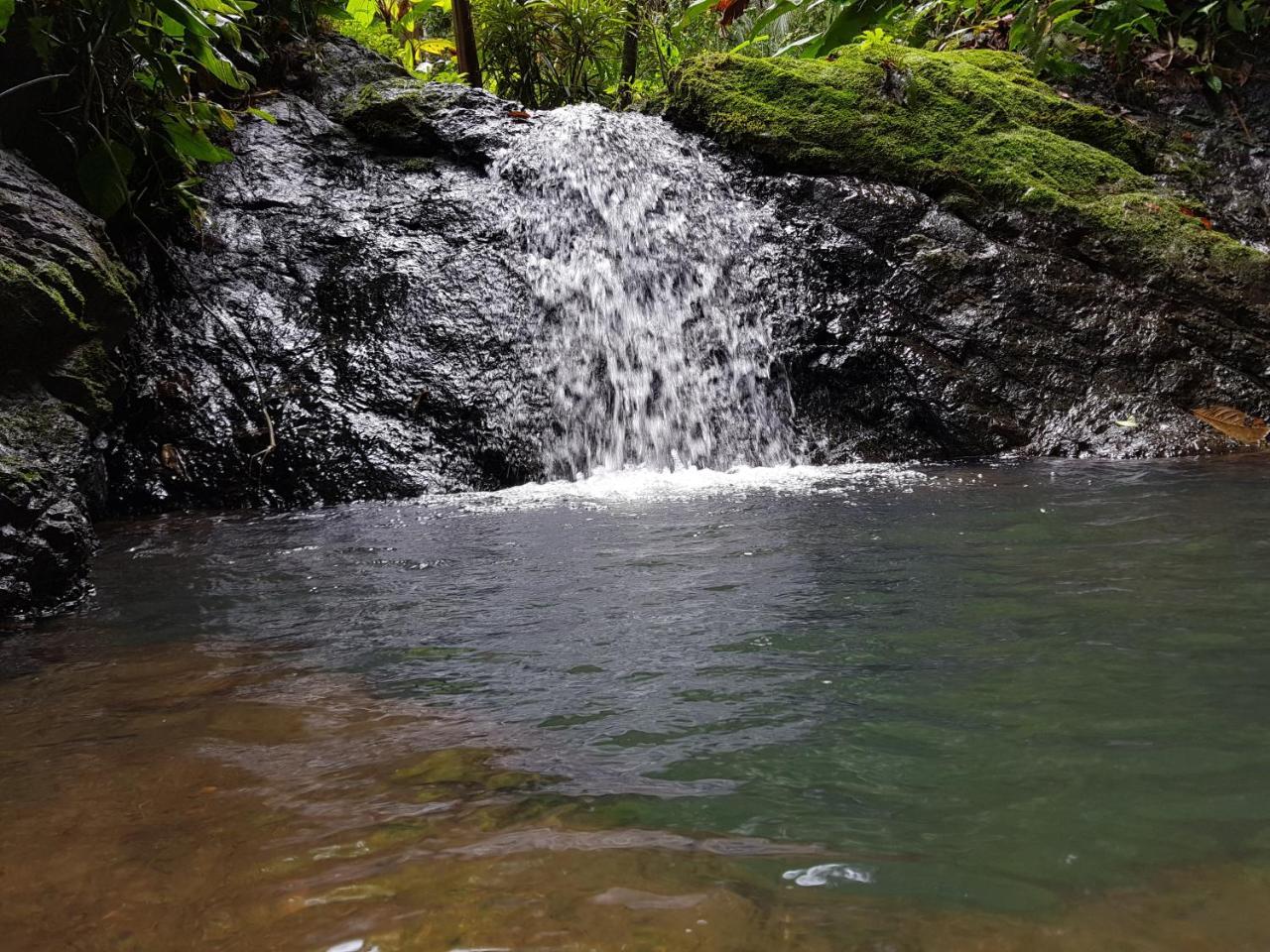 Sukia Hostel Drakes Bay المظهر الخارجي الصورة