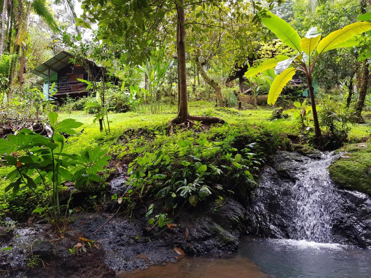 Sukia Hostel Drakes Bay المظهر الخارجي الصورة