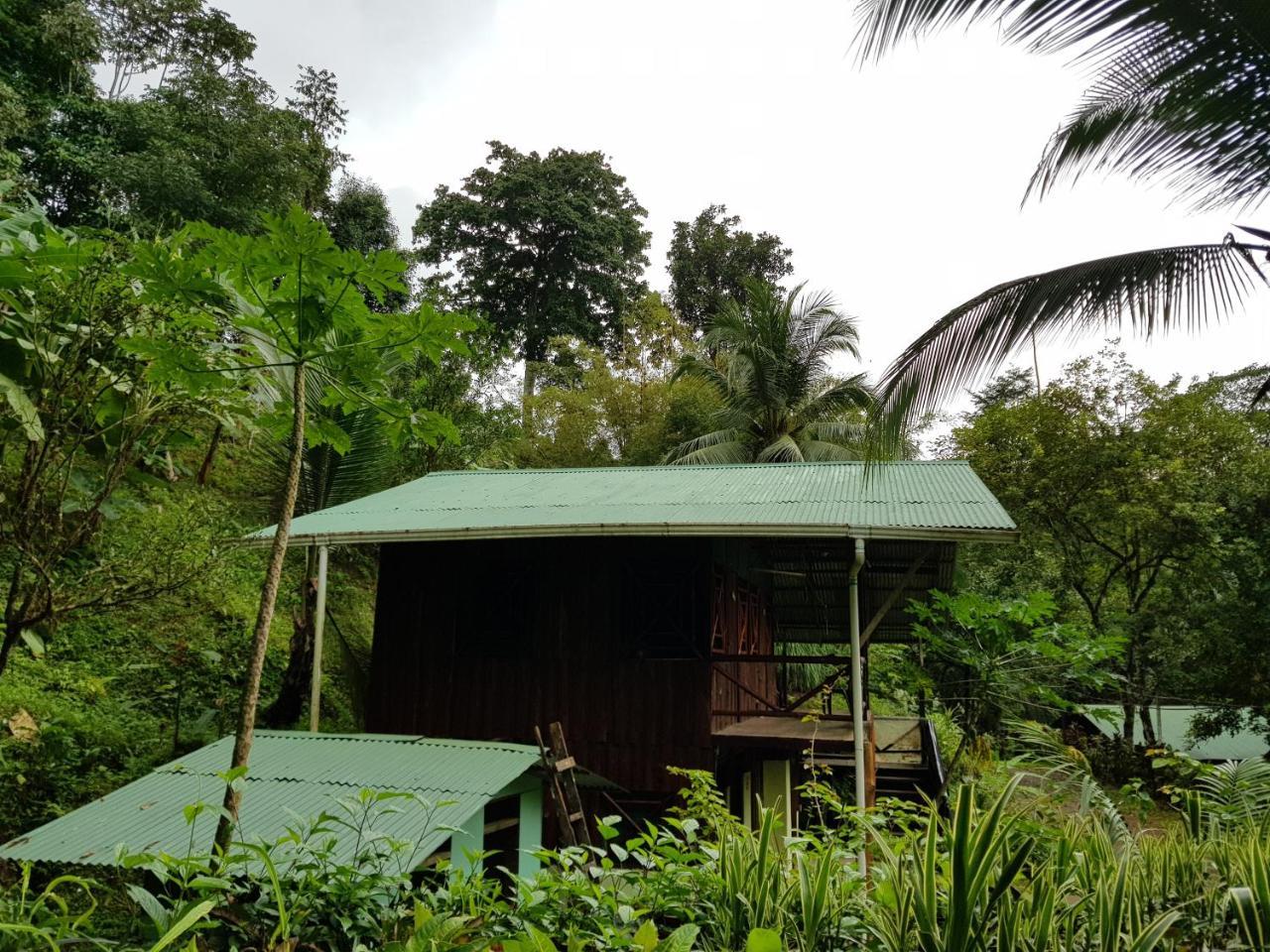 Sukia Hostel Drakes Bay المظهر الخارجي الصورة